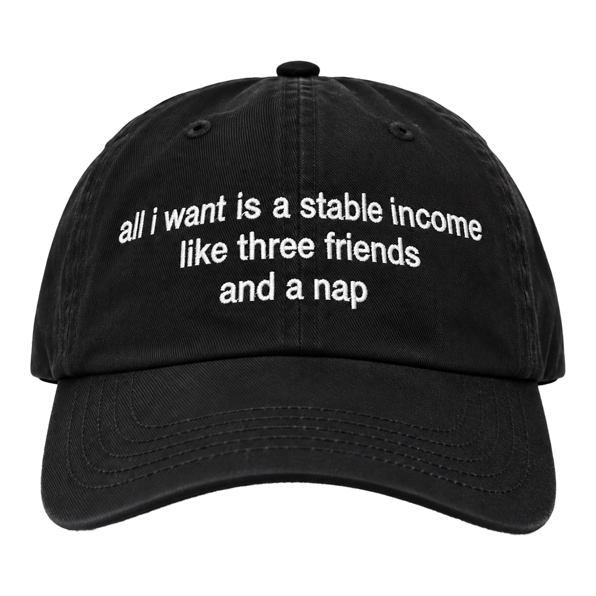 All I Want is a Stable Income Hat